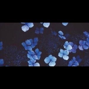 Meet your Posher, Kayleb